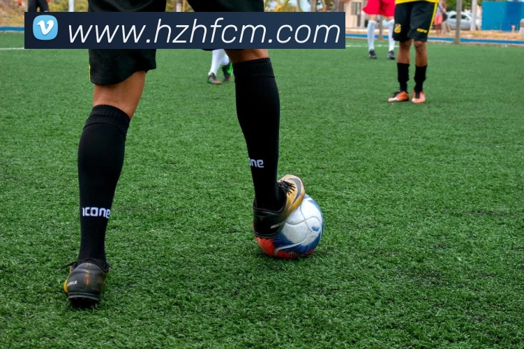 星空体育登录网页版APP 封面图